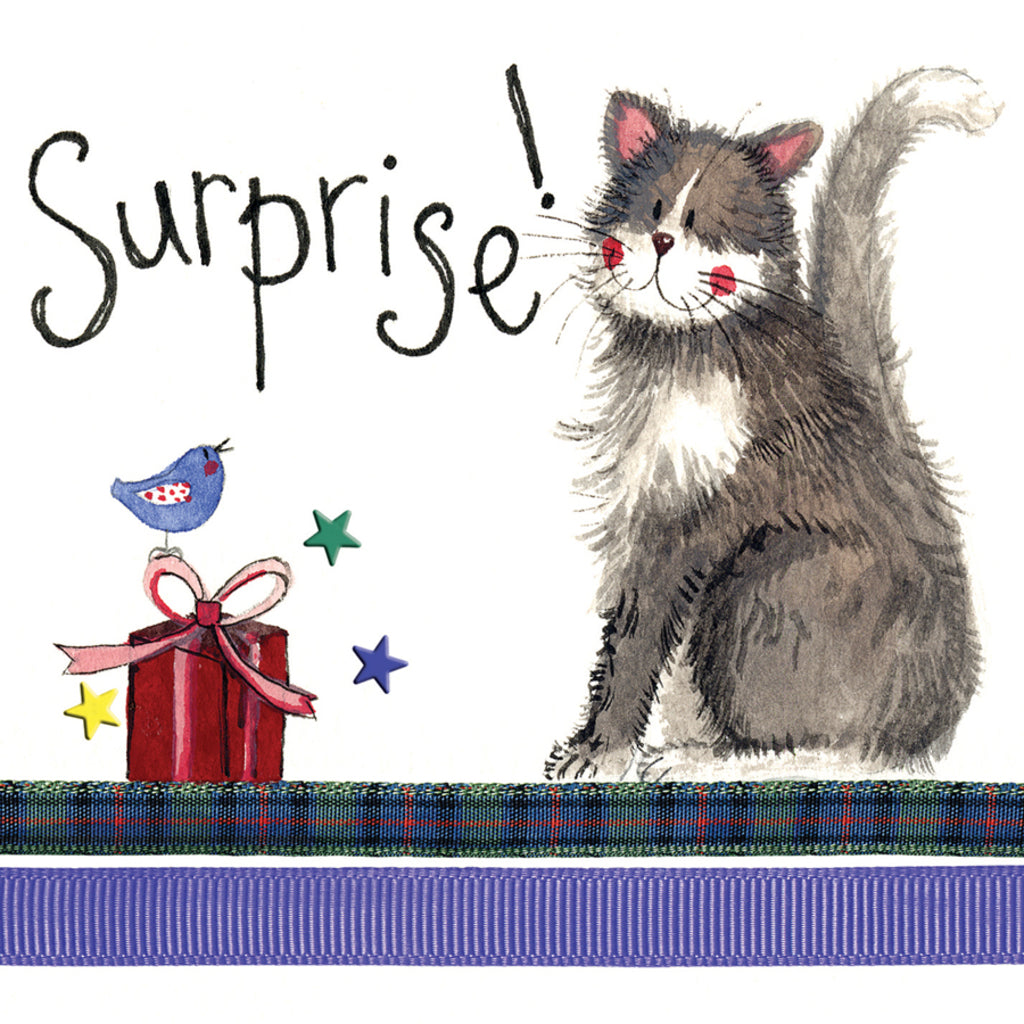 SURPRISE BIRTHDAY CARD LS31