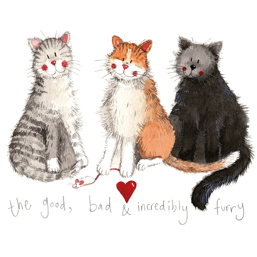 THE GOOD, THE BAD AND THE INCREDIBULY FURRY MEDIUM CANVAS CM32