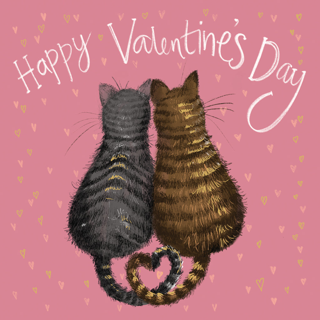 SPRS59 VALENTINE CAT VALENTINES CARD SPRS59