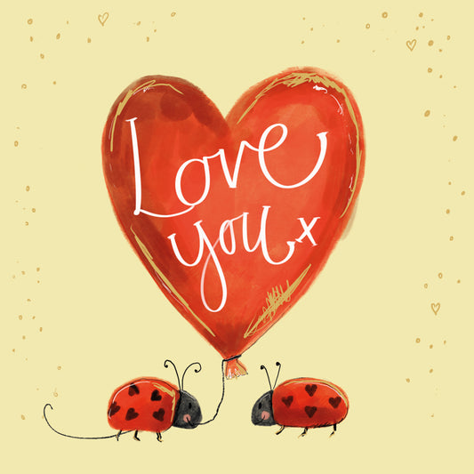 SPRS61 LADYBIRD LOVE YOU VALENTINES CARD SPRS61