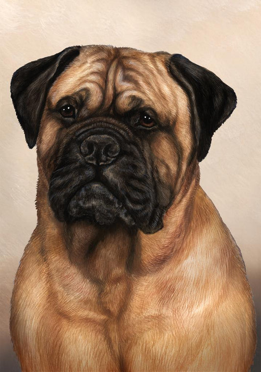 Bullmastiff Dog by Tamara Burnett Box of 10 Blank Note Cards 4x5 266567 1027-4x5