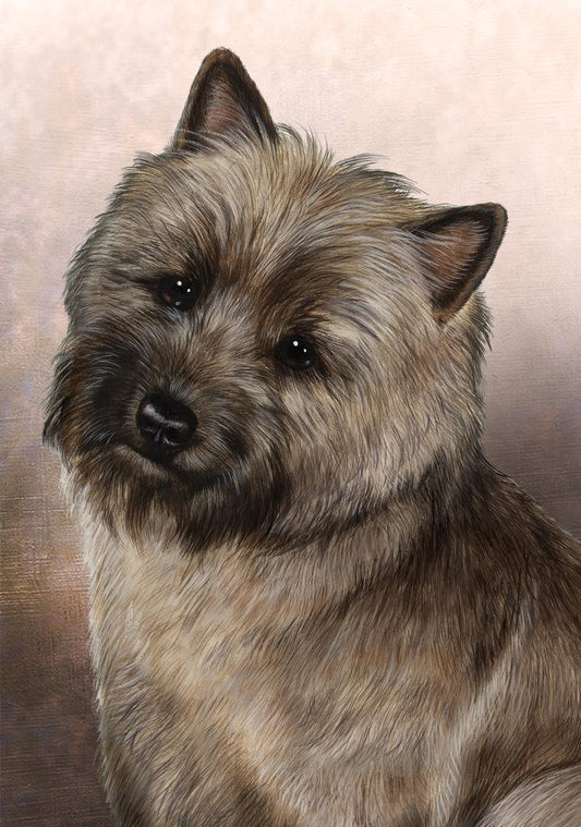 Cairn Terrier Dog by Tamara Burnett Box of 10 Blank Note Cards 4x5 266568 1030-4x5