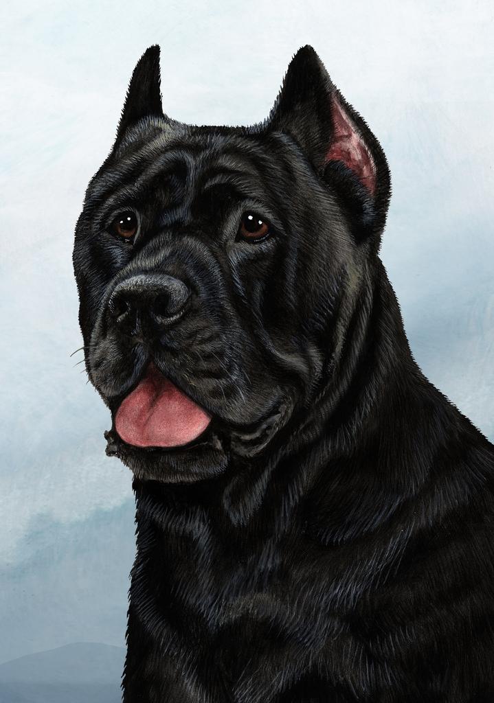 Cane Corso Dog by Tamara Burnett Box of 10 Blank Note Cards 4x5 266569 1029-4x5