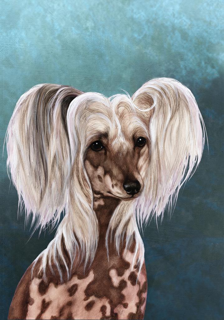 Chinese Crested Dog by Tamara Burnett Box of 10 Blank Note Cards 4x5 266575 1036-4x5