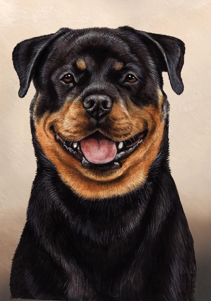 Rottweiler Dog by Tamara Burnett Box of 10 Blank Note Cards 4x5 266628 1088-4x5