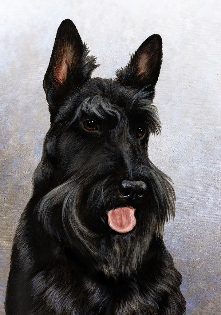 Scottish Terrier Dog by Tamara Burnett Box of 10 Blank Note Cards 4x5 266632 1093-4x5