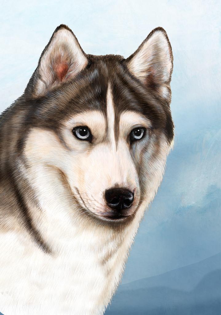 Siberian Husky Dog by Tamara Burnett Box of 10 Blank Note Cards 4x5 266636 1097-4x5