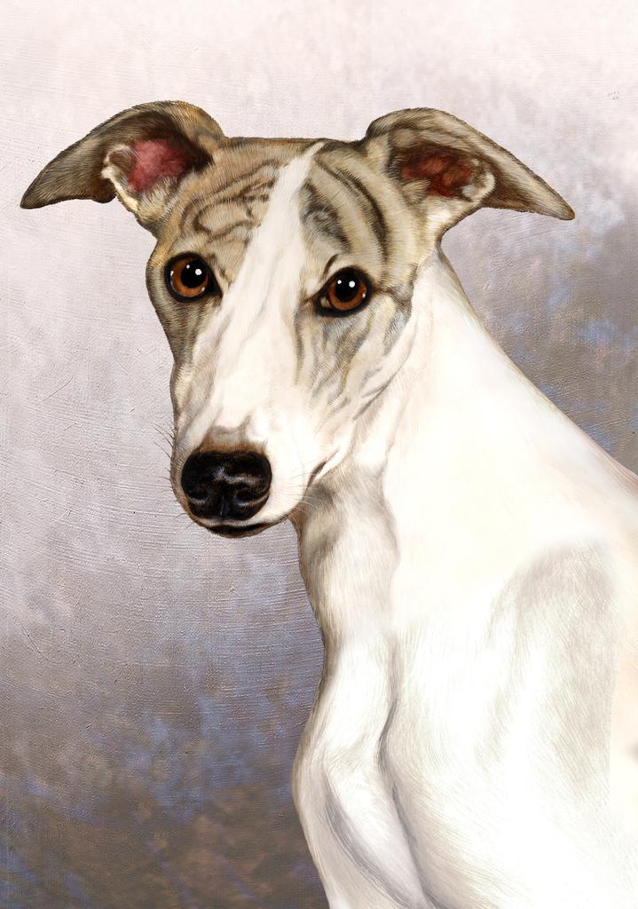 Whippet Dog by Tamara Burnett Box of 10 Blank Note Cards 4x5 266642 1102-4x5